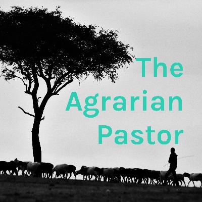 Pastors and Breaking Fallow Ground