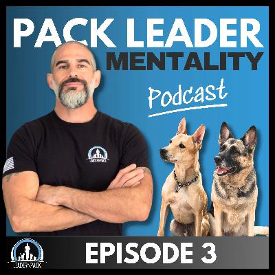 Ep 3: Q&A Day | Ball Obsession | Using Affection As a Reward