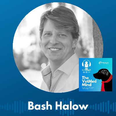 Success Stories & Lessons Learned: Bash Halow