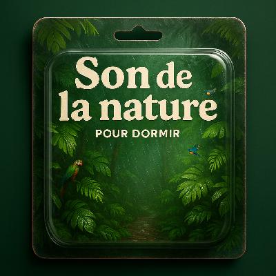 1 H Bruit Blanc pour DORMIR 🍀 Balade et sérénité dans la nature | ASMR contre l'insomnie