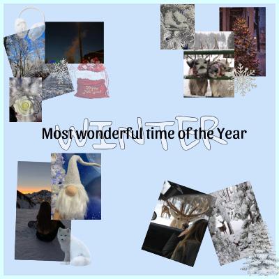 23 | Snow❄️, ice🧊, x-mas, winter & more ⛸️