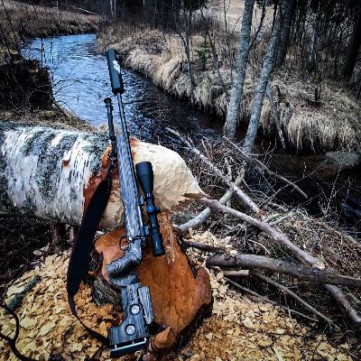 Beverjakt - Beverbrød, beverstang og beverhale Beverjakt - Beverbrød, beverstang og beverhale