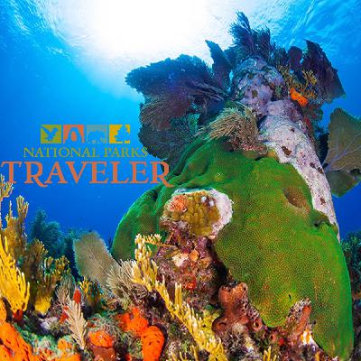 National Parks Traveler Podcast | Florida Coral Reef Rescue