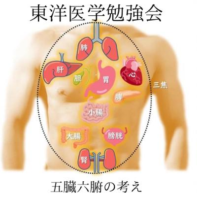 #3 五臓六腑の考え - なぜ、先人たちは、そう考えたのか。〜東洋医学勉強会より〜