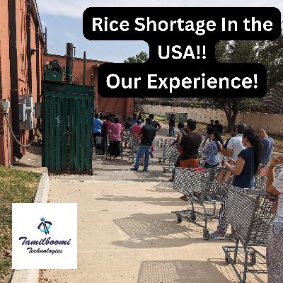 Our Experience in Rice Shortage in USA | பொதுவா சொன்னேன் #80