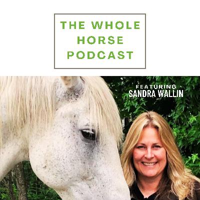 WH139 | Let the horses show you the way with Sandra Wallin