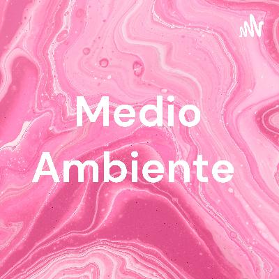 El medio ambiente