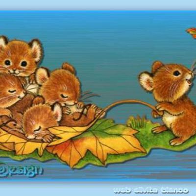 CUENTO CINCO RATONCITOS