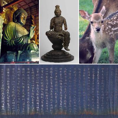 #129 Nara, Japón #129 Nara, Japón