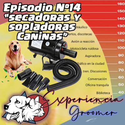 Episodio N°14 | Turbinas, secadoras y la "MAQUINA" de secado canino