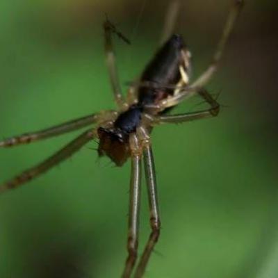 Episode 1 - David Blandy Episode 1 - David Blandy