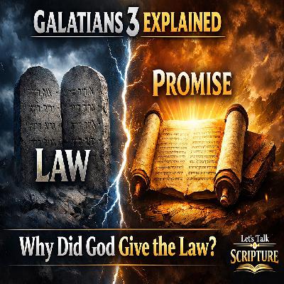 Why Did God Give the Law? (Galatians 3:15-29) Why Did God Give the Law? (Galatians 3:15-29)
