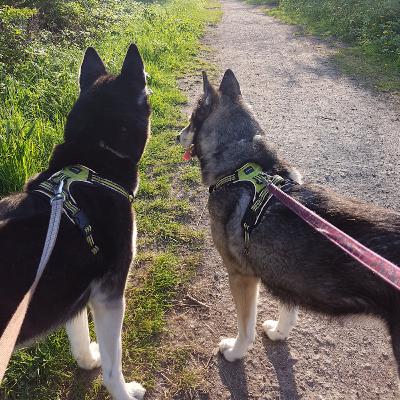 Nugget 25 - Are you doing what I told you to do?