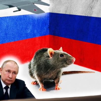 Константин Вълков: Путин притиснат в ъгъла като плъх от детството му, провокира НАТО над Естония