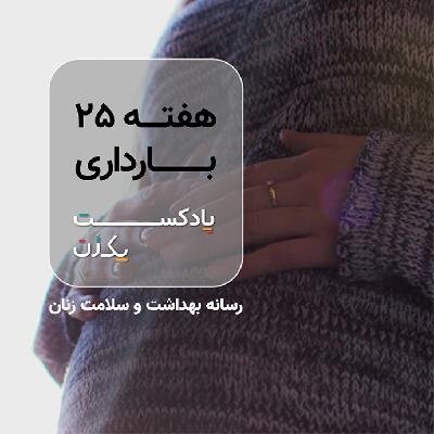 هفته بیست و پنجم بارداری هفته بیست و پنجم بارداری