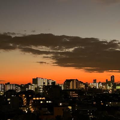 2025年ベストを集めたよ！