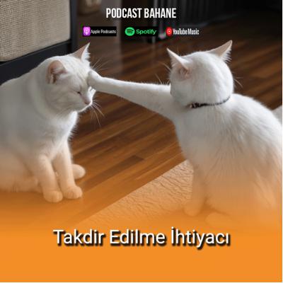 Konuklu Bölüm 2-1: Takdir Edilme İhtiyacı