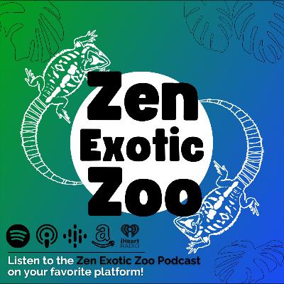 Kasey Talks Critters Ep 15 | Colubrid Collab With Lila Stratman of TikTok and Kasey of Zen Habitats