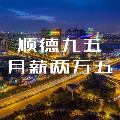 CEO回归 顺德九五 月薪两万五 CEO回归 顺德九五 月薪两万五