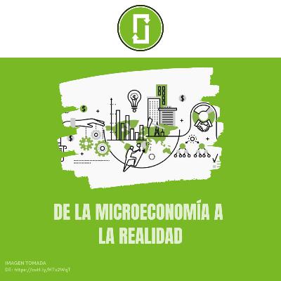 De la Microeconomía a la Realidad