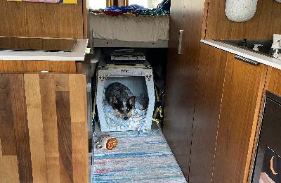 Thank you for not treating her like a retriever Thank you for not treating her like a retriever