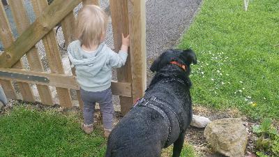 Podcast 28: Hund und Kind