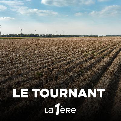 Quelles vulnérabilités pour la Wallonie face au réchauffement climatique ?