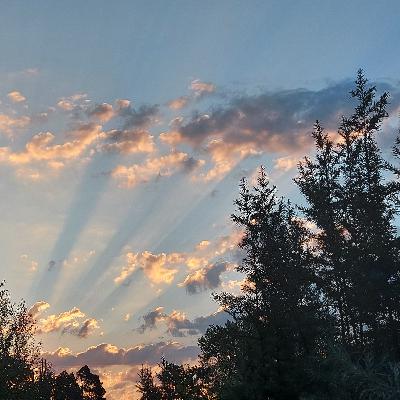 Endlich leben! Warum es sich lohnt, mit der Auferstehung schon jetzt zu beginnen. Episode: Wer ein WARUM zu leben hat erträgt fast jedes WIE Endlich leben! Warum es sich lohnt, mit der Auferstehung schon jetzt zu beginnen. Episode: Wer ein WARUM zu leben hat erträgt fast jedes WIE