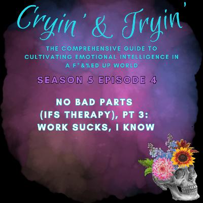 S5E4 - No Bad Parts (IFS Therapy), Pt. 3: Work Sucks, I Know