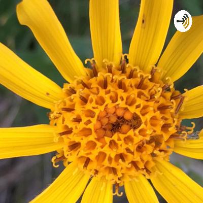 Finde Deine Berufung und nicht bloß irgendeinen Beruf!