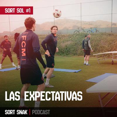 Sort Sol #1 - Las Expectativas