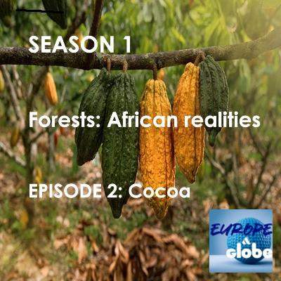 Forests: African realities- Episode 2: Cocoa