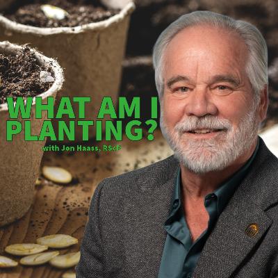 Jon Haass - What Am I Planting? Jon Haass - What Am I Planting?