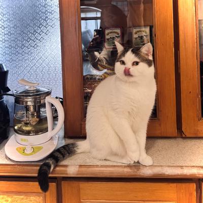 S3-EP5 女性獨旅、漂亮紅利＆友誼的真相拷問｜兩女亂亂聊(上) ft.Era