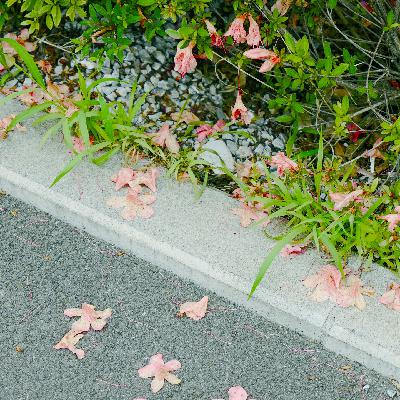 “带了相机却没拍照片”｜你也会有摄影的懊恼时刻吗？