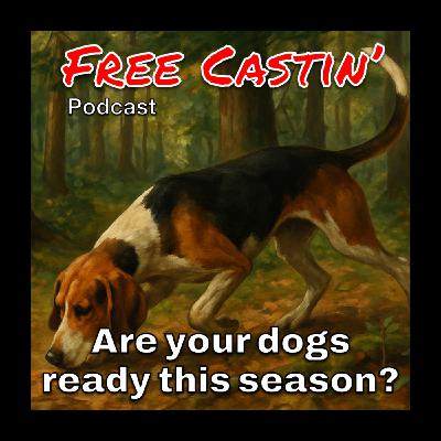 Bear Season: Are your dogs ready!
