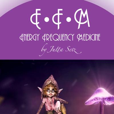 LICHT-BLICK & TOR-ÖFFNUNG