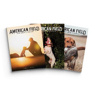 Episode 76: The American Field Sportsman Journal