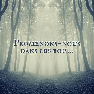 Episode #0 - Salut les p'tits loups