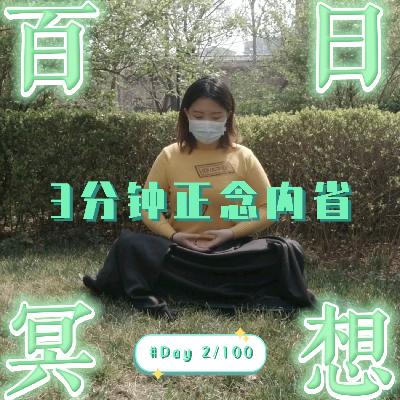 Day2 百日冥想 | 正念内省