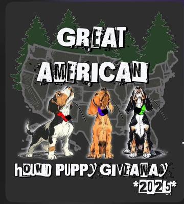 187. Great American Hound Puppy Giveaway
