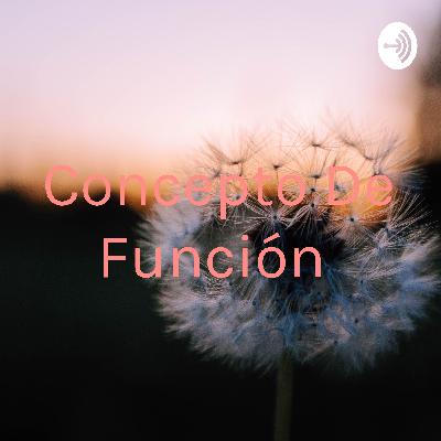 CONCEPTO DE FUNCIÓN POR MEDIO DE UN EJEMPLO.