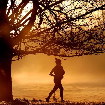 Novemberblues: Bewegung schlägt schlechte Laune Novemberblues: Bewegung schlägt schlechte Laune