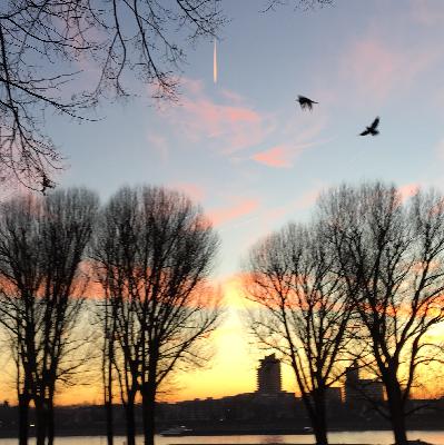 Podlog #020 2017-01-20 Podlog #020 2017-01-20