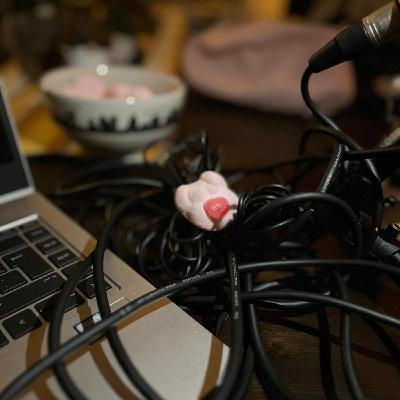 Episode 9: Återtåget