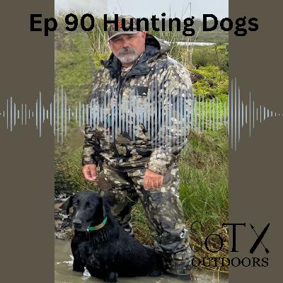 Hunting Dogs