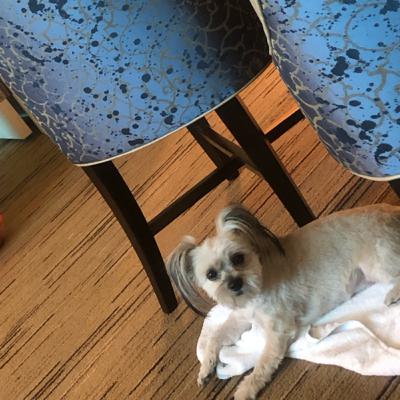 Feel good Friday Feel good Friday