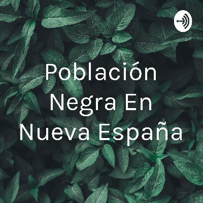 Población negra en la Nueva España