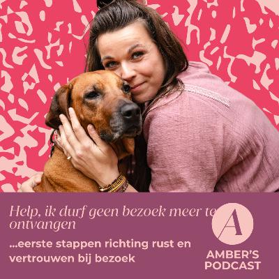 Help, ik durf geen bezoek meer te ontvangen. De eerste stappen richting rust en vertrouwen bij bezoek #200 Help, ik durf geen bezoek meer te ontvangen. De eerste stappen richting rust en vertrouwen bij bezoek #200