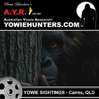 Yowie Sighting at Cairns, Queensland - 1990